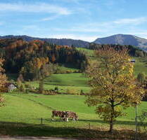 Privatverkauf EFH in Oberstaufen-Weißach