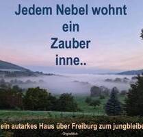 ...ein Mega zauberhaftes Grundstück in Freiburg, ...und der Himmel hier auf Erden.... - Wittnau