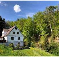 Ein Traum von Freiheit - Idyllisch gelegenes Landhaus in unmittelbarerer Nähe zum Naturpark Diemelsee! - Willingen (Upland) Neerdar