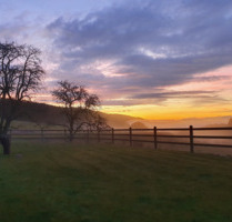 Exklusives Reiteranwesen mit Alpenpanorama – Pferdeparadies mit Perspektive V13084 - Bad Säckingen Wallbach