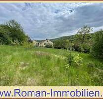 Großes Baugrundstück in Vorra! - 149.000,00 EUR Kaufpreis, ca.  0,00 m² in Vorra / Düsselbach (PLZ: 91247)