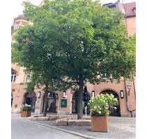 Möblierte 3-Zimmer-Wohnung im Herzen von Nürnberg