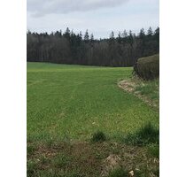 KNIPFER IMMOBILIEN - Bauplatz für EFH in ruhiger Ortsrandlage in Aindling-Eisingersdorf zum Kauf - Aindling / Eisingersdorf