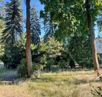 Selber Bauen in Waldsteinberg! - 269.000,00 EUR Kaufpreis, ca.  0,00 m² in Brandis (PLZ: 04821) Waldsteinberg