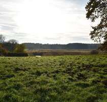 Parkartiges Baugrundstück in 2. Reihe mit unverbaubarem Blick über die Billewiesen - Trittau