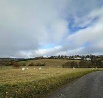 Ländliches Haus mit zwei Scheunen Wald, Wiese und Grünflächen in Halver zu verkaufen.