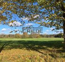*Grundstück* Wohnfläche von ca. 2.000 m² möglich! - Bienenbüttel