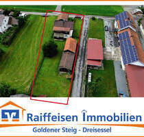 Hand- und Heimwerker aufgepasst! Ein-Zweifamilienhaus in absolut ruhiger Randlage N. Grafenau