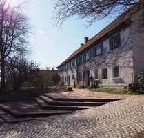Historisches Bauernhaus auf gigantischem Grundstück in idyllischer Lage! - Schnürpflingen Ammerstetten