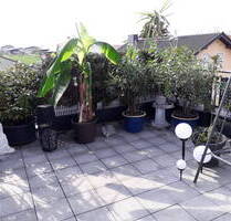 Sonnige DG-Wohnung mit 25qm großen sw Balkon - Freigericht Altenmittlau
