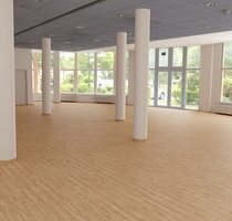 Traumhafte 622 m² Vereins- Büro- Gastrofläche in Vilsendorf *Provisionsfrei* - Bielefeld