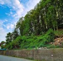 Schönes Grundstück in Oberstaufenbach - direkt bebaubar