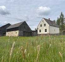 Alleinlage - Bauernhof mit großer Scheune, Stall und Garagen UND viel Land - Markneukirchen Schönlind