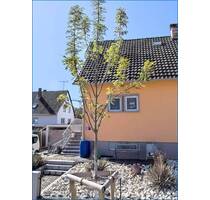 Neuer Preis! Gepflegtes Einfamilienhaus auf Erbpachtgrund in beliebter Wohngegend nahe dem Bodensee! - Moos