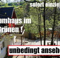 sofort im Traumhaus einziehen keine Provision wohnen wie im Urlaub - Lennestadt Bilstein
