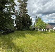 **Traumgrundstück in Waldrandlage (Abriss erforderlich)** - Gelnhausen Hailer