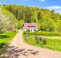 Hier sagen sich Fuchs & Hase gute Nacht... hochwertiges Einfamilienhaus in idyllischer Lage! - Altenberg Bärenstein