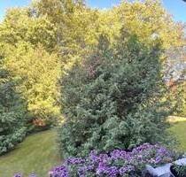 Idyllische Lage - Drei-Zimmerwohnung mit West-Loggia im Hochparterre! - Bremen