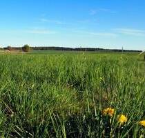***Provisionsfrei: Großes Baugrundstück in kleinem Dorf*** - Diestelow / Grambow
