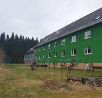 Naturnahe, günstige Wohnung perfekt für Handwerker geeignet - Johanngeorgenstadt