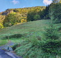 Baugrundstück in Todtnau (Schlechtnau)
