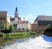 Wohnung in Baudenkmal - 40.000,00 EUR Kaufpreis, ca.  325,20 m² Wohnfläche in Döbeln (PLZ: 04720)