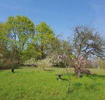 Baugrundstück mit Seeblick - 1.287.000,00 EUR Kaufpreis, ca.  0,00 m² in Werder (Havel) OT Leest (PLZ: 14542) Töplitz