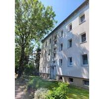 Kleine aber feine Hochparterrewohnung sucht neue liebevolle Familie - Broderstorf