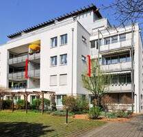 Johannstadt - sonnige und geräumige 2-Zi.-Wohnung mit Loggia an den Elbwiesen - Dresden Johannstadt-Nord (Uni-Klinikum)