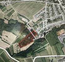 Großes Waldgrundstück direkt am Ort Hilbringen - Merzig