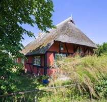 Historisches Fischlandhaus mit 2 kleinen Ferienhäusern - Wustrow