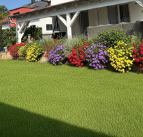 WINTERANGEBOT!!!! 2026 ins neue Zuhause - Nidderau Eichen