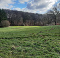 Attraktives Baugrundstück in ruhiger Lage von Waldmohr - Vielfältige Bebauungsmöglichkeiten