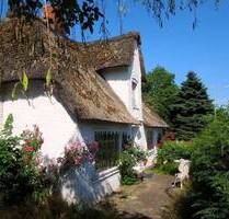 SYLTNÄHE ! Großes Eck-Grundstück mit Altbestand sucht neuen Eigentümer - Niebüll