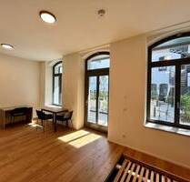 Loftige, möblierte 1-Zimmer-Wohnung mit großer Terrasse zum Erstbezug! - Nürnberg Gostenhof