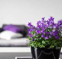 WILLKOMMEN DAHEIM ! Gemütliche 3-Zi-Whg, 95 m², Balkon, Bergblick, Chiemsee & Alpen - Bernau