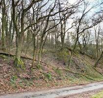 Waldgrundstück im Kreis Bad Kreuznach zu verkaufen - Tiefenthal