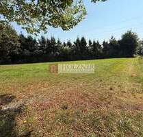 Baugrundstück in Landshut Münchnerau - Leben im Grünen und doch stadtnah. Objekt Nummer 2025636 - Landshut / Münchnerau