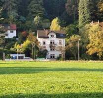 Fabrik-Loft-Etage für Arbeiten+Wohnen + in Gründerzeit-4-FamHs + mit GartenWerkstattHaus + Paradiesgarten + teilbar in Teileigentum - Freiburg im Breisgau Günterstal