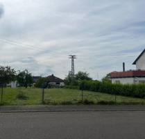 Idyllisches Baugrundstück in Vinningen - Ihr Traum vom Eigenheim beginnt hier