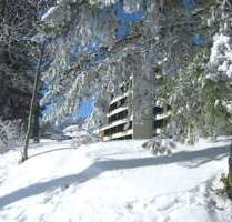 Gemütliches 1-Zi. Apartment in Schönwald Schwarzwald