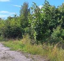 Grundstück in Saalfeld zu vermieten!