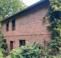 Wunderschöne Lage in Elbregion mit Weitblick - Hitzacker (Elbe) Tießau