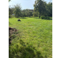 Ihr Traum vom Eigenheim beginnt hier - Baugrundstück in idyllischer Lage von Leipheim