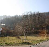 Sie planen Ihr Traumhaus und suchen noch das passende Grundstück ..sofort bebaubares Grundstück in ruhiger Lage.... - Hausen im Wiesental