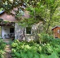 DORNRÖSCHENSCHLAF - Haus in Biesenthal-Danewitz auf Waldgrundstück sucht den 