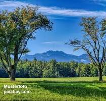 TRAUMHAFTE WOHNLAGE ! Ihr sonnenverwöhntes Domizil im Chiemgau, mit wunderschönem Alpen-Panorama - Bernau am Chiemsee