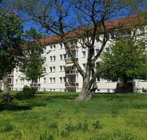 Kleine Wohnung in Stadtbusnähe - 227,00 EUR Kaltmiete, ca.  45,30 m² in Borna (PLZ: 04552)