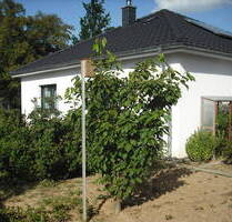 Bungalow mit Garage, Springe - Gestorf