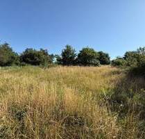 Attraktives Baugrundstück | ca. 1.400 m² Fläche in entwickelter Lage | 54538 Kinderbeuern